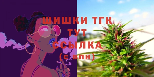 молекула духа Вяземский