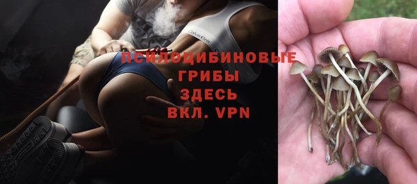 наркотики Вязьма
