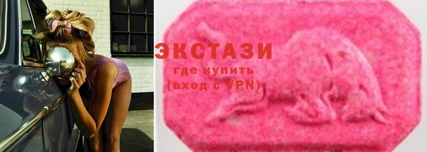 молекула духа Вяземский