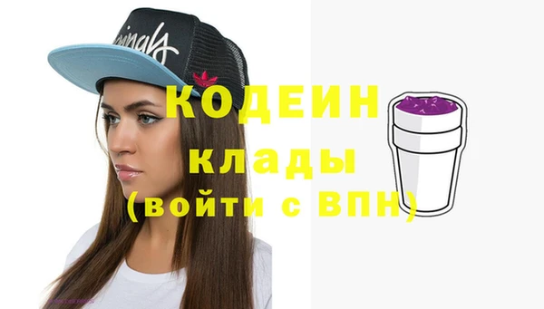 молекула духа Вяземский