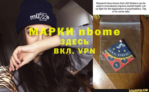 молекула духа Вяземский