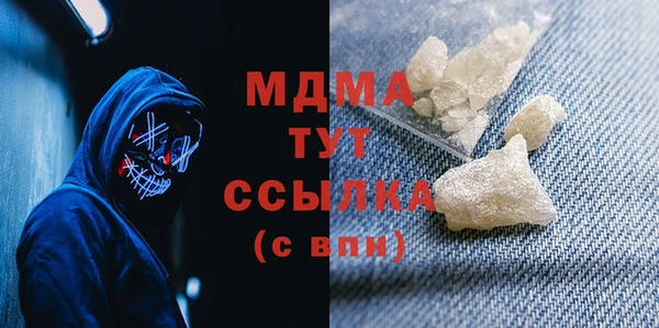 молекула духа Вяземский