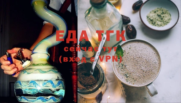 молекула духа Вяземский