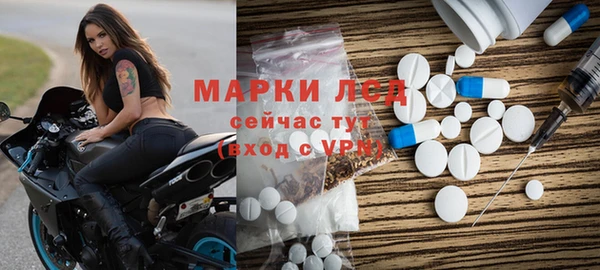 молекула духа Вяземский