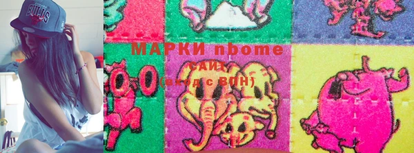 молекула духа Вяземский