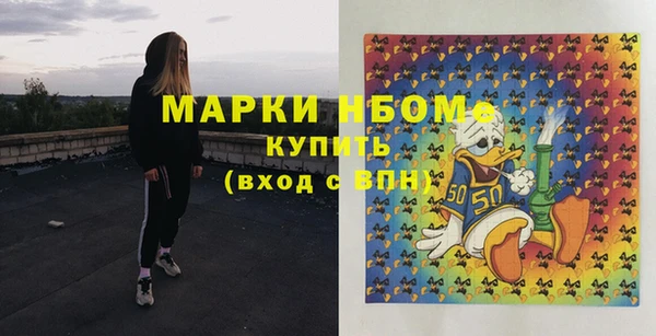 молекула духа Вяземский