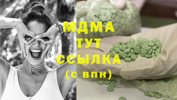 молекула духа Вяземский