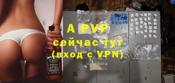 молекула духа Вяземский