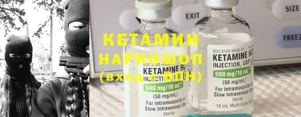 молекула духа Вяземский