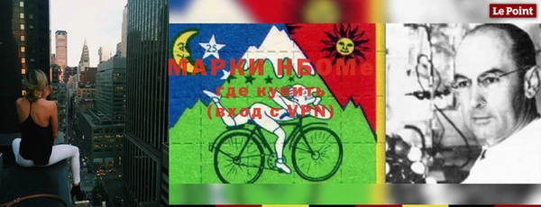 молекула духа Вяземский