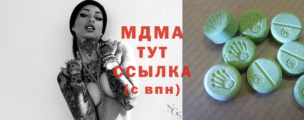 молекула духа Вяземский